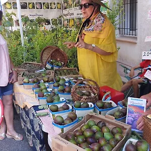 En Provence , Draguignan France
